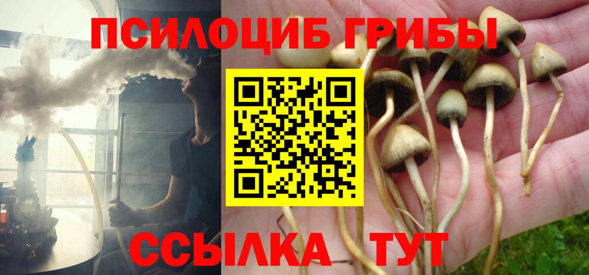 Псилоцибиновые грибы GOLDEN TEACHER  Вход с VPN  Гулькевичи 