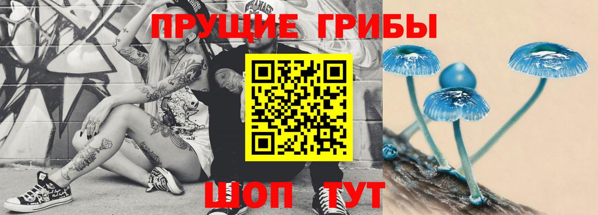 Галлюциногенные грибы Cubensis Гулькевичи